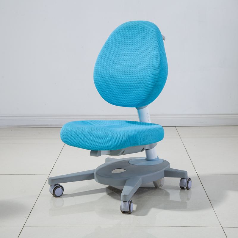 DRY-801 Ergonomic Chair